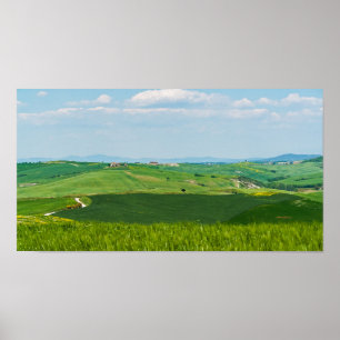 Typical Tuscany Landscape Poster