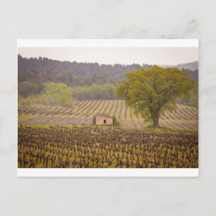 Typically French Postcard