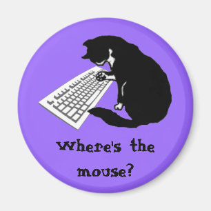 Typing Cat Magnet