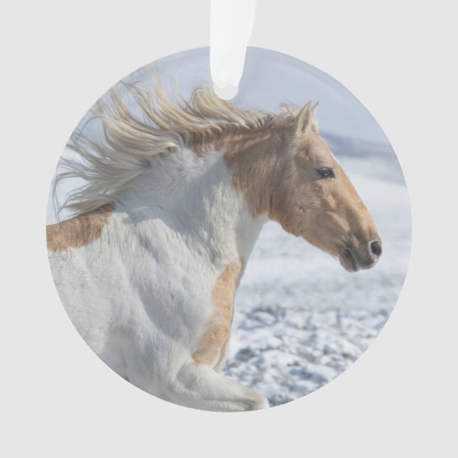 Tyr Runs in the Snow Ornament (Front)