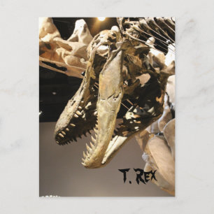 Tyrannosaurus # 2 postcard