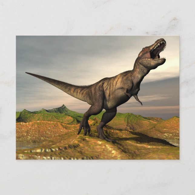 Tyrannosaurus rex dinosaur - 3D render Postcard (Front)