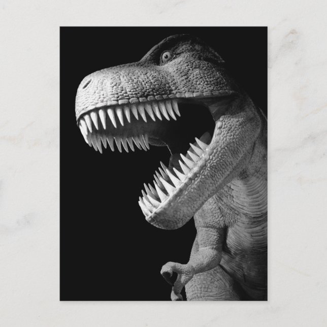 Tyrannosaurus Rex Postcard (Front)