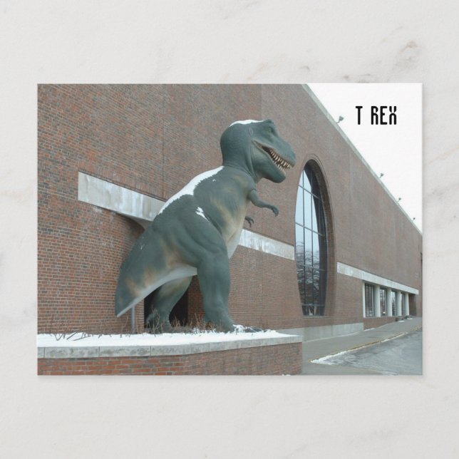 Tyrannosaurus Rex Postcard (Front)