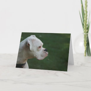 "Tyson" White Boxer Dog Photo Greeting Card