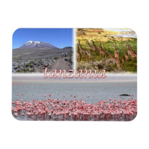 TZ Tanzania - Magnet