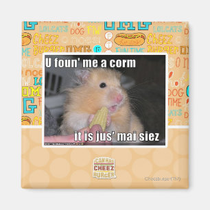 U found me a corn magnet