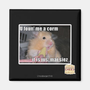 U found me a corn magnet