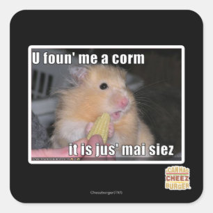 U found me a corn square sticker