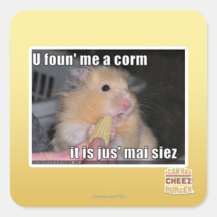U found me a corn square sticker