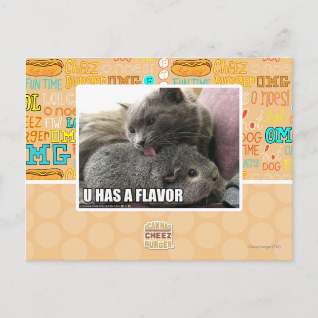 U HAS A FLAVOR POSTCARD (Front)