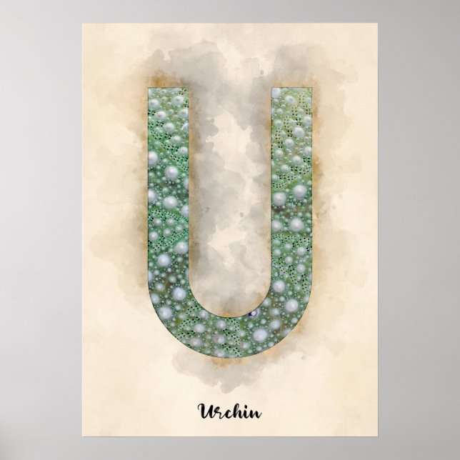 U is For Urchin Poster (Front)