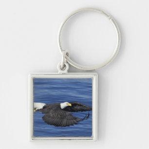 U.S.A., Alaska, Kenai Peninsula Bald eagle Key Ring