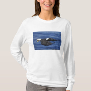 U.S.A., Alaska, Kenai Peninsula Bald eagle T-Shirt