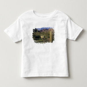 U.S.A., Arizona, Organ Pipe National Monument. Toddler T-Shirt