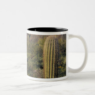U.S.A., Arizona, Organ Pipe National Monument. Two-Tone Coffee Mug