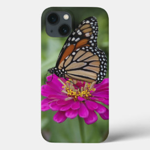 U.S.A., Massachusetts, Boylston, Tower Hill iPhone 13 Case