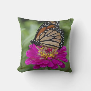 U.S.A., Massachusetts, Boylston, Tower Hill Cushion