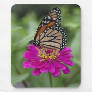 U.S.A., Massachusetts, Boylston, Tower Hill Mouse Pad