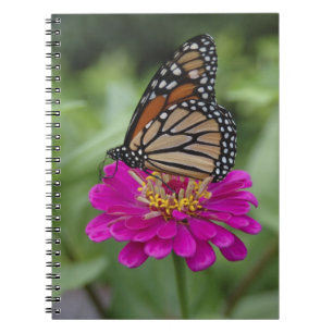 U.S.A., Massachusetts, Boylston, Tower Hill Notebook
