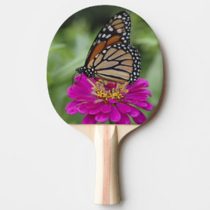 U.S.A., Massachusetts, Boylston, Tower Hill Ping Pong Paddle
