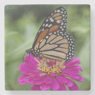 U.S.A., Massachusetts, Boylston, Tower Hill Stone Coaster