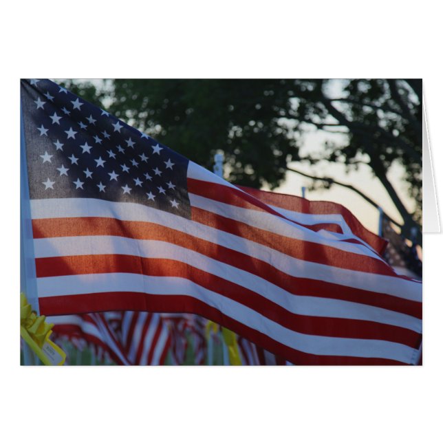 U.S.A Memorial Day Flags Waving in Wind (Front Horizontal)