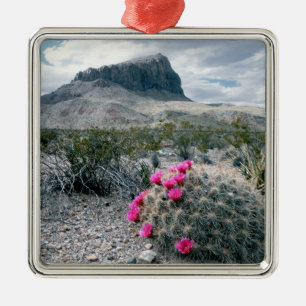 U.S.A., Texas, Big Bend National Park. Blooming Metal Ornament