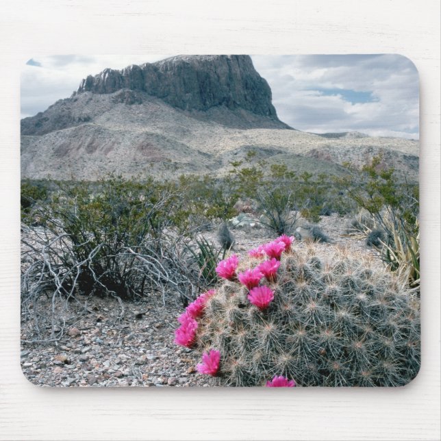 U.S.A., Texas, Big Bend National Park. Blooming Mouse Pad (Front)