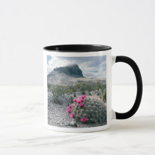 U.S.A., Texas, Big Bend National Park. Blooming Mug