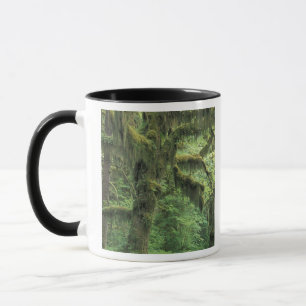 U.S.A., Washington, Olympic National Park. Mug