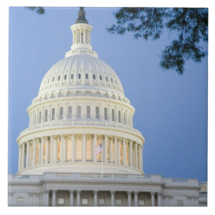 U.S. Capitol at dusk, Washington D.C. (District Tile