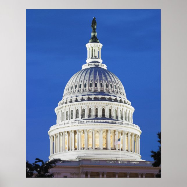 U.S. Capitol dome Poster (Front)