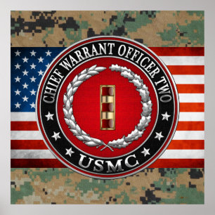 U.S. Marines: Chief Warrant Two (USMC CWO-2) [3D] Poster