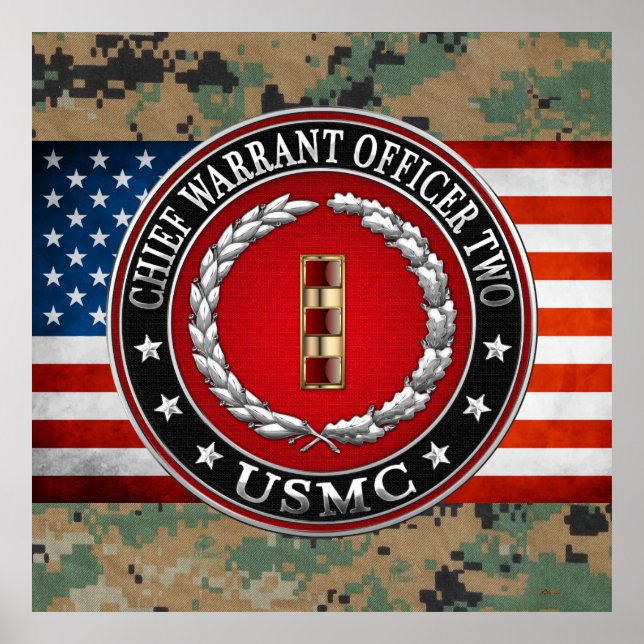 U.S. Marines: Chief Warrant Two (USMC CWO-2) [3D] Poster (Front)