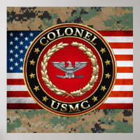 U.S. Marines: Colonel (USMC Col) [3D]