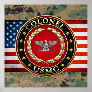 U.S. Marines: Colonel (USMC Col) [3D] Poster