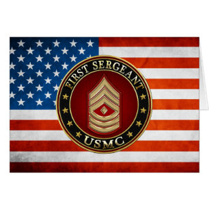 U.S. Marines: First Sergeant (USMC 1stSgt) [3D]