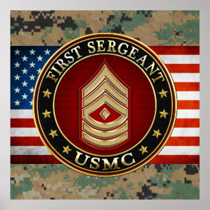 U.S. Marines: First Sergeant (USMC 1stSgt) [3D] Poster