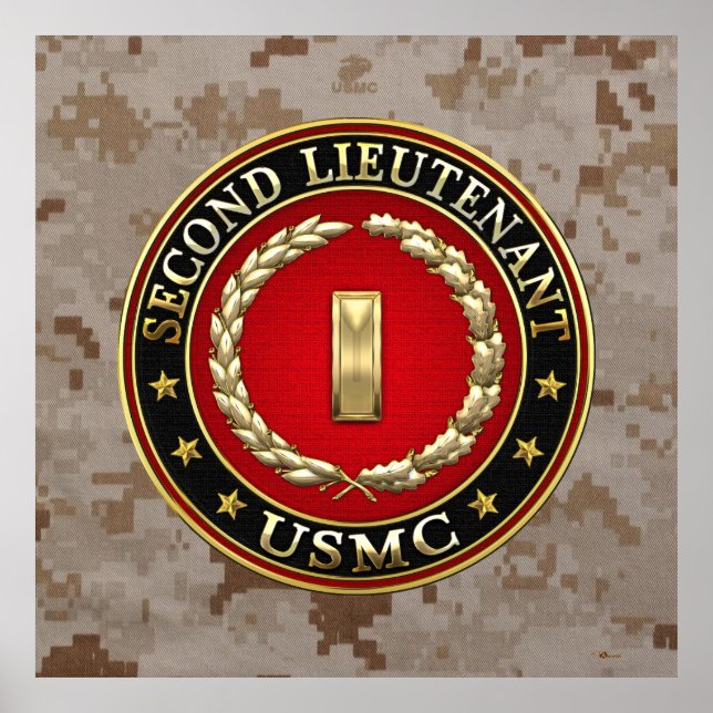 U.S. Marines: Second Lieutenant (USMC 2ndLt) [3D] Poster (Front)