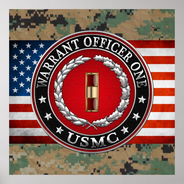 U.S. Marines: Warrant Officer One (USMC WO-1) [3D] Poster (Front)