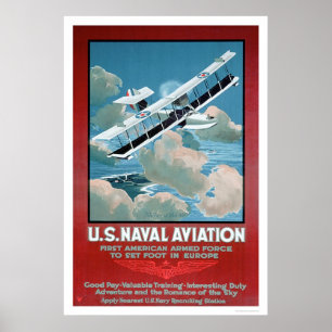 U.S. Naval Aviation (US02304) Poster