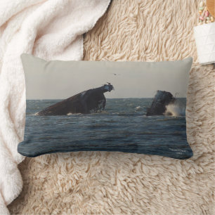U.S.S. Atlantus Concrete Shipwreck, NJ Pillow
