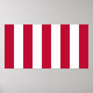 U.S. Sons of Liberty 9 Vertical Strip Flag Poster