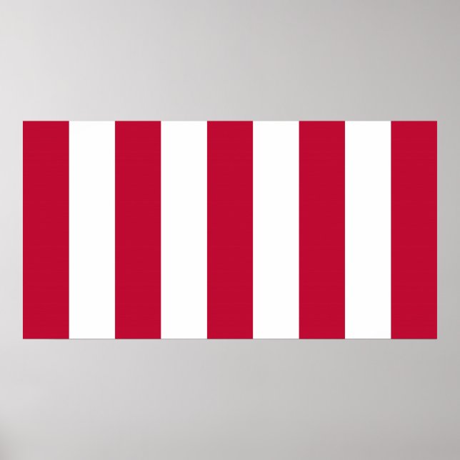 U.S. Sons of Liberty 9 Vertical Strip Flag Poster (Front)