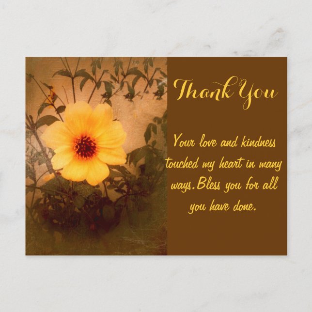 U Shine_ Postcard (Front)