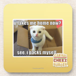 U take me home now? coaster