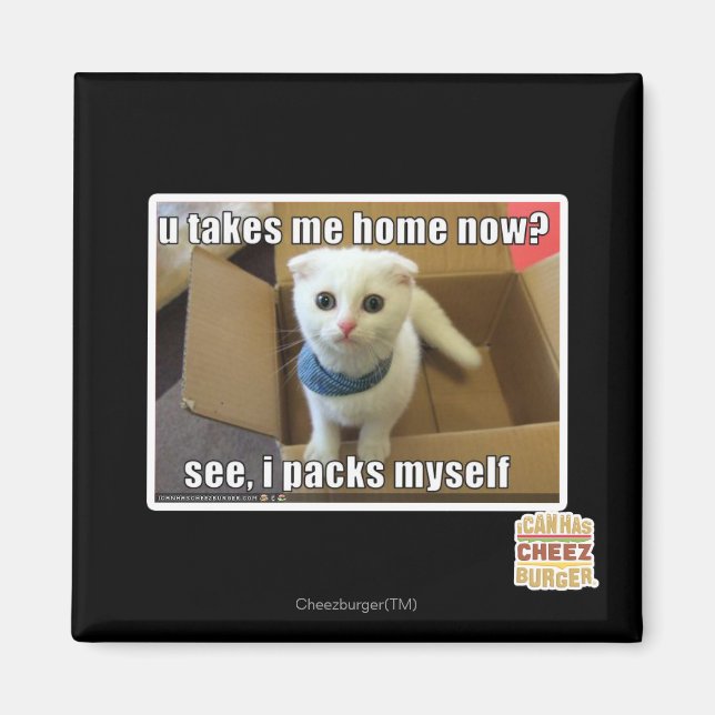 U take me home now? magnet (Front)