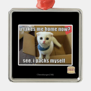 U take me home now? metal ornament
