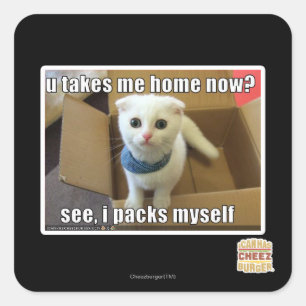 U take me home now? square sticker